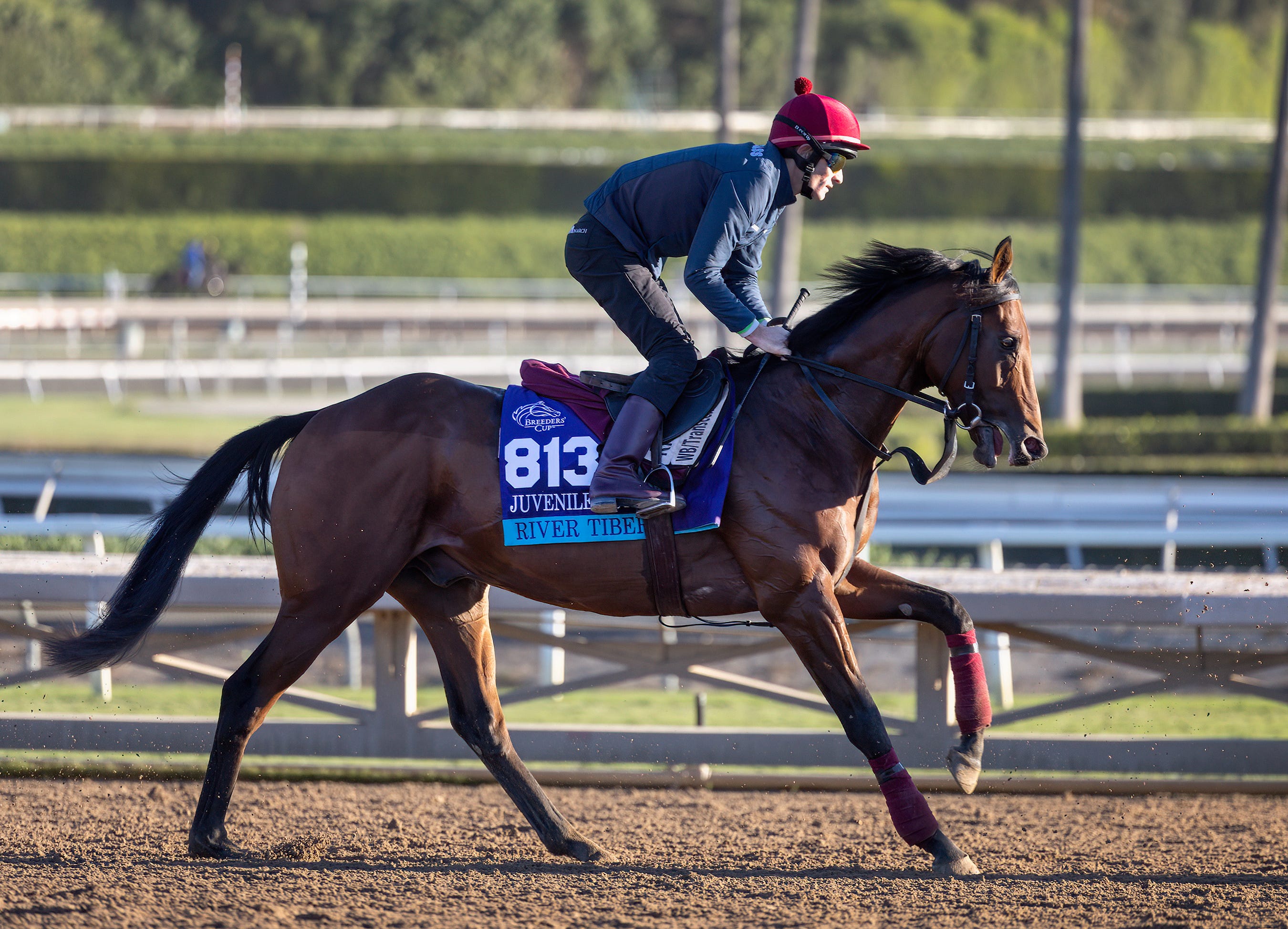 Breeders' Cup Juvenile Turf Moore's mount choice may be tipoff to winner